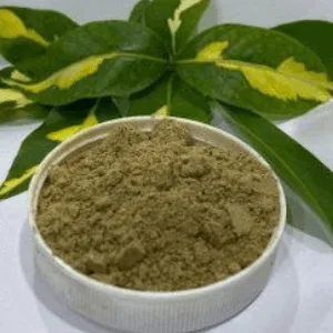 Rasayan Churana