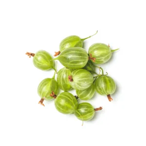 gooseberry