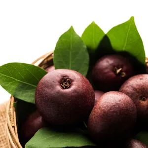 kokum